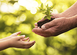 What We Do to Protect the Environment