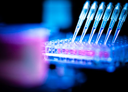 Pharmaceutical Industry