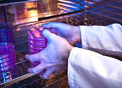 Temperature Calibration